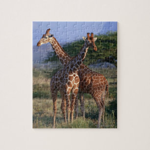 Puzzle Giraffe réticulée 2
