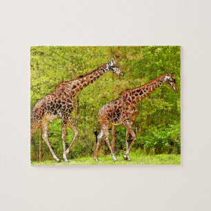 Puzzle Giraffes sauvages - Faune africaine