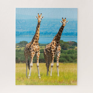 Puzzle Giraffes sur la Savanna, Ouganda