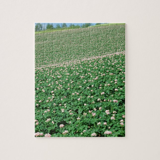 Puzzle Gisement 3 de pomme de terre (Vertical)