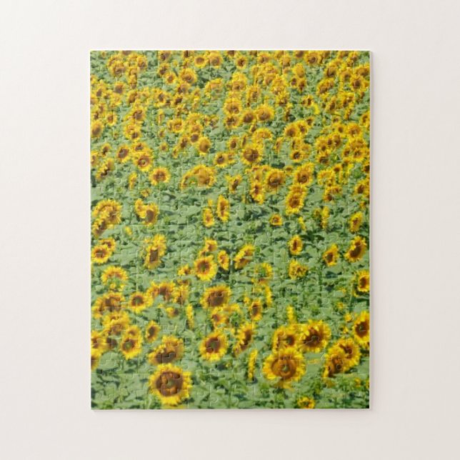Puzzle Gisement jaune de tournesol (Vertical)