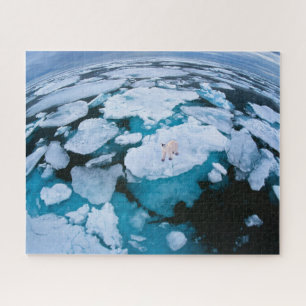 Puzzle Glace et neige   Ours polaire, Océan Arctique, Sva