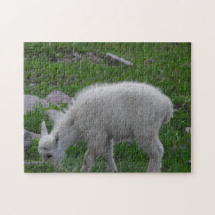 Puzzle Glacier National Park Baby Mountain Goat Photo