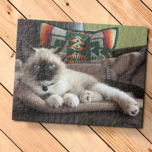 Puzzle Glamour Blue Eyed Siamese Kitten Photograph