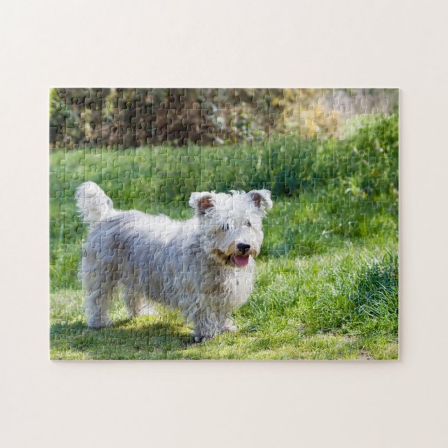 Puzzle Glen of Imaal Terrier chien (Horizontal)