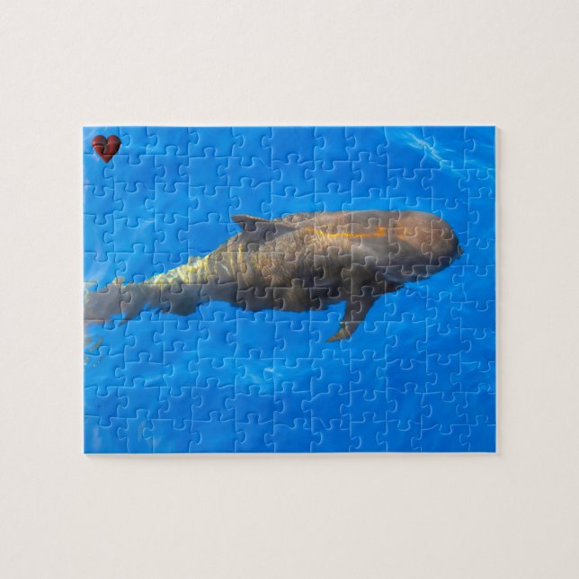 Puzzle Glénans (Horizontal)