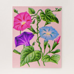 Puzzle gloire matinale