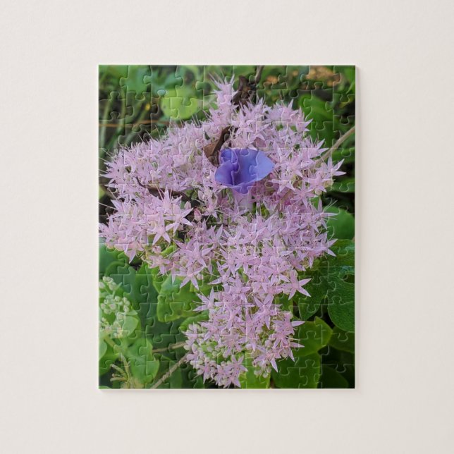 Puzzle Glorieuse du matin parmi les fleurs roses (Vertical)