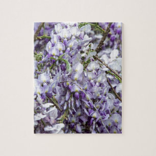 Puzzle Glycine