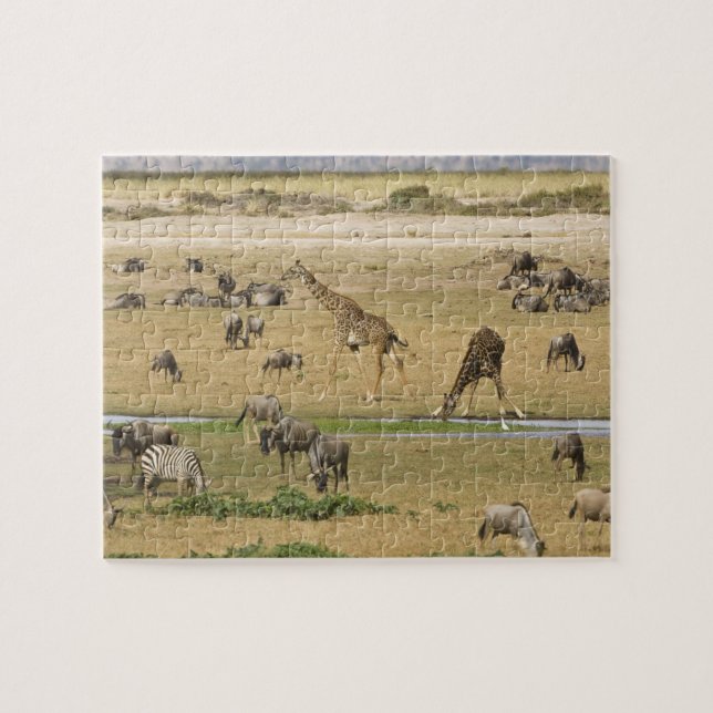 Puzzle Gnous, Zèbres et Girafes (Horizontal)