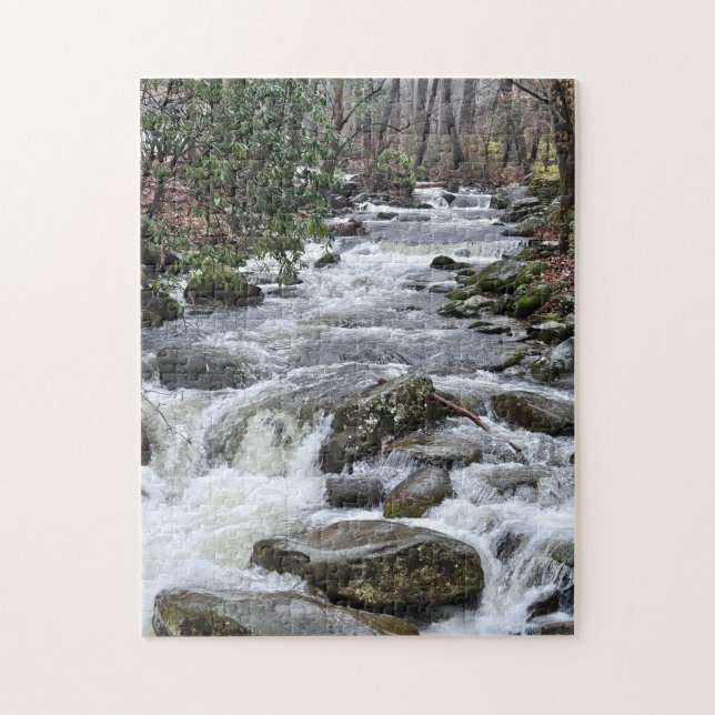 Puzzle Go With The Flow, 11" x 14", 252 pièces (Vertical)