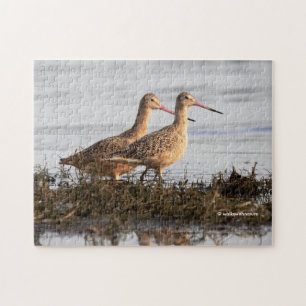 Puzzle Godwits marbrés Roiseaux de rivage errant Blackie
