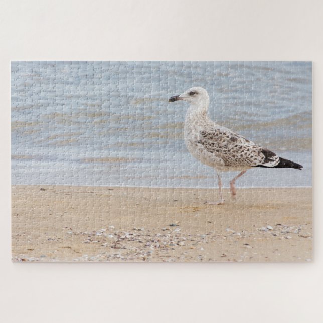 Puzzle Goéland (Horizontal)