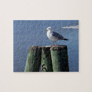 Puzzle Goéland sur pilotis