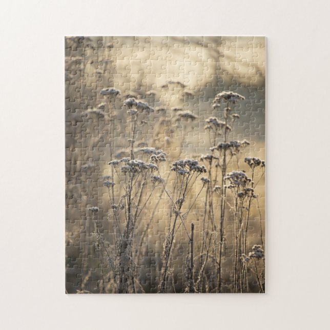 Puzzle Golden Frosty Matin Flamand Campagne (Vertical)