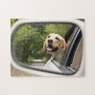 Puzzle Golden Labrador En Réarview Mirror