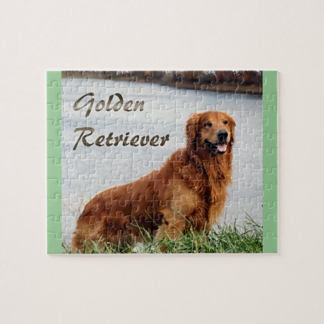 Puzzle Golden retriever (Horizontal)