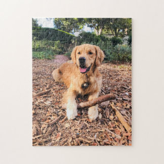 Puzzle Golden Retriever