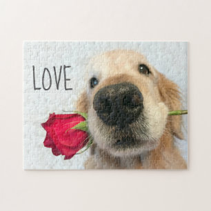 Puzzle Golden Retriever Avec Rose Rouge Valentine Love