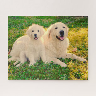 Puzzle Golden Retriever chien animal animal animal animal