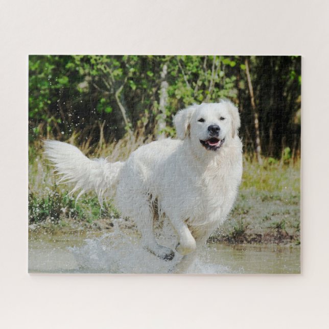 Puzzle Golden Retriever chien animal animal animal animal (Horizontal)