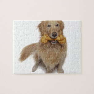 Puzzle Golden Retriever Chien tenant l'os dans la bouche