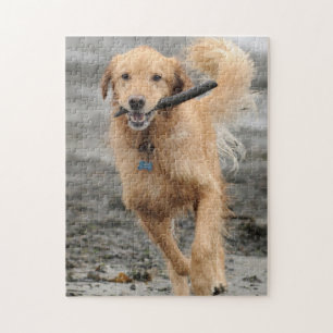 Puzzle Golden Retriever courant avec un bâton dans la bou