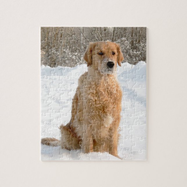 Puzzle Golden retriever dans la neige (Vertical)