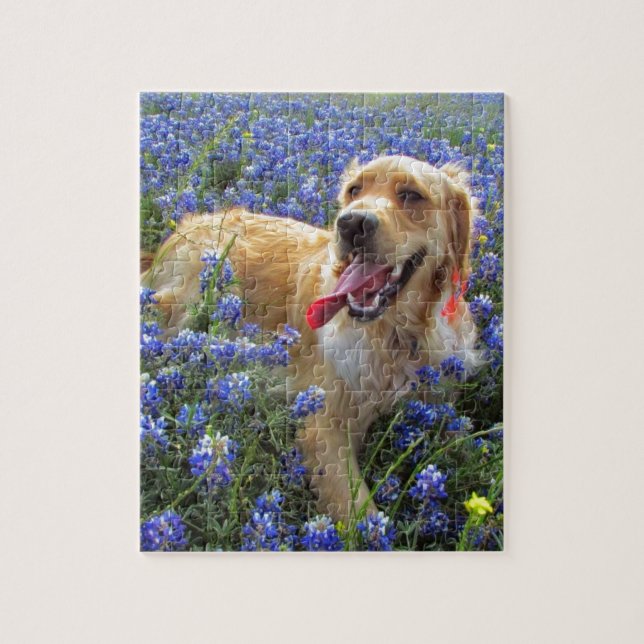 Puzzle Golden retriever dans les capots bleus (Vertical)