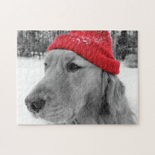Puzzle Golden retriever de chien de ski