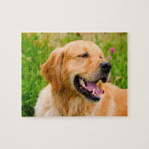 Puzzle Golden Retriever Dog.