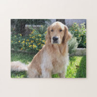 Golden Retriever mignon Chien Fleurs de Photo Anim