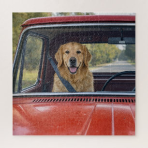 Puzzle Golden Retriever portant une ceinture de sécurité