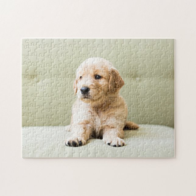 Puzzle Golden Retriever Puppy (Horizontal)
