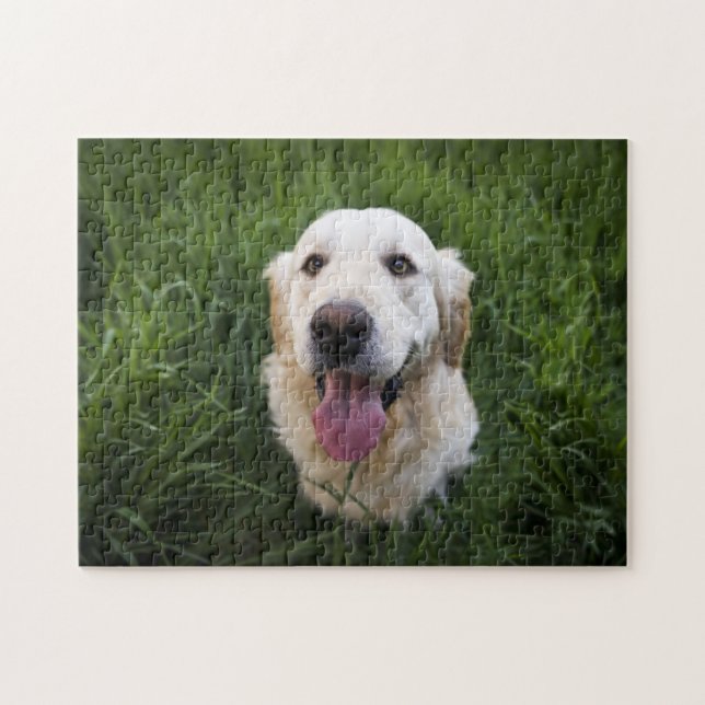 Puzzle Golden Retriever souriant (Horizontal)