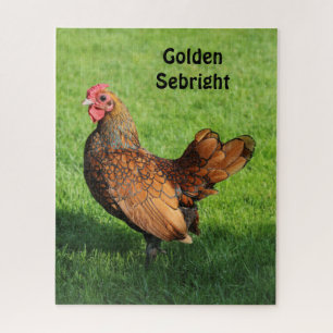 Puzzle Golden Sebright Hen - Bantam Pet
