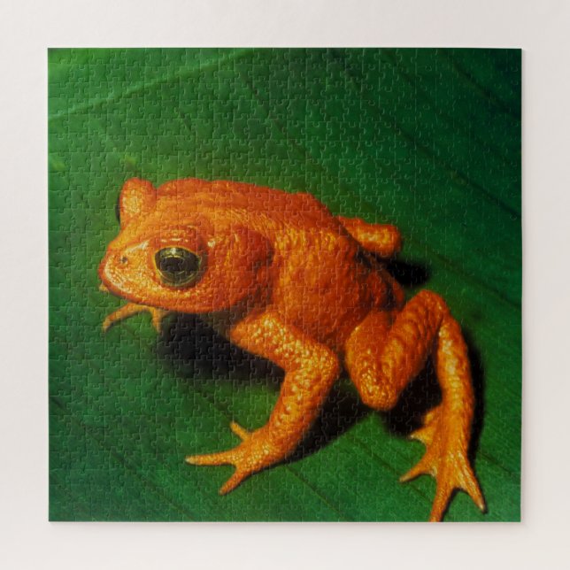 PUZZLE GOLDEN TOAD (Vertical)
