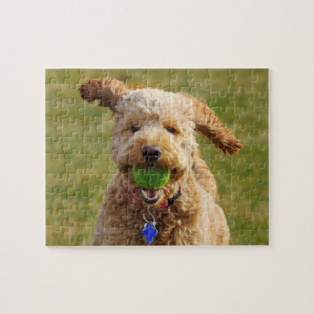 Puzzle Goldendoodle avec balle (Horizontal)