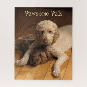 Puzzle Goldendoodle Best Friends - Adorable Dog Duo