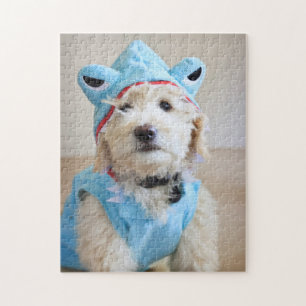 Puzzle Goldendoodle En Costume De Requin