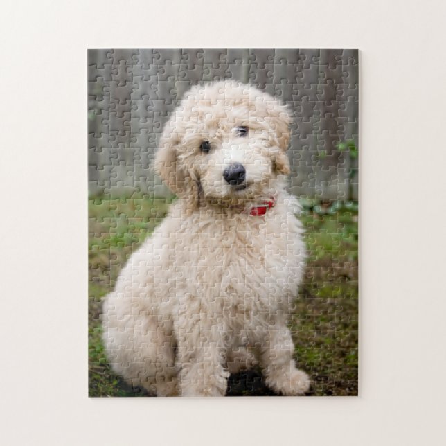 Puzzle Goldendoodle Puppy Se Trouve Dans L'Herbe (Vertical)