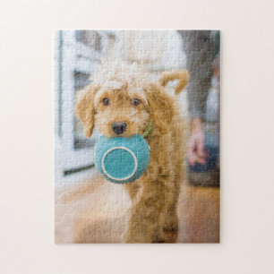 Puzzle Goldendoodle transportant le souper Bowl