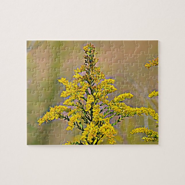 Puzzle Goldenrod du Nebraska (Horizontal)