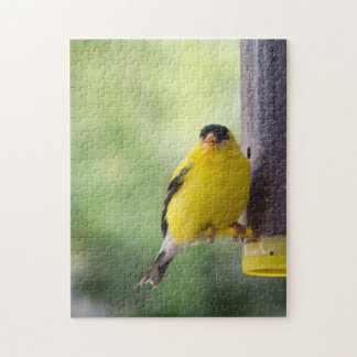 Puzzle Goldfinch