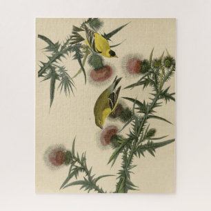 Puzzle Goldfinch américain d'Audubon's Birds of America
