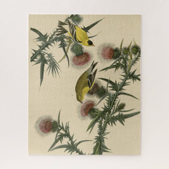 Puzzle Goldfinch américain d'Audubon's Birds of America (Vertical)