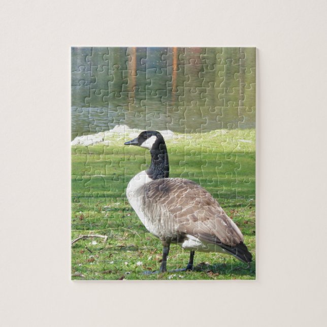 Puzzle Goose at the waterfront, Wildlife Animals, Nature (Vertical)