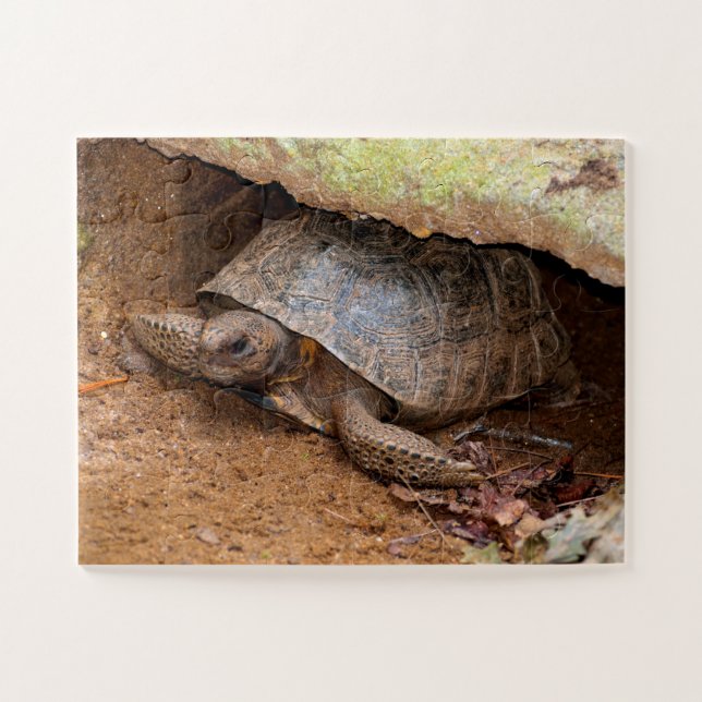 Puzzle Gopher Turtle (Horizontal)