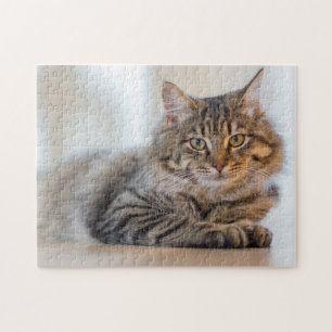 Puzzle Gorgeous Cat Staring At You Jigsaw