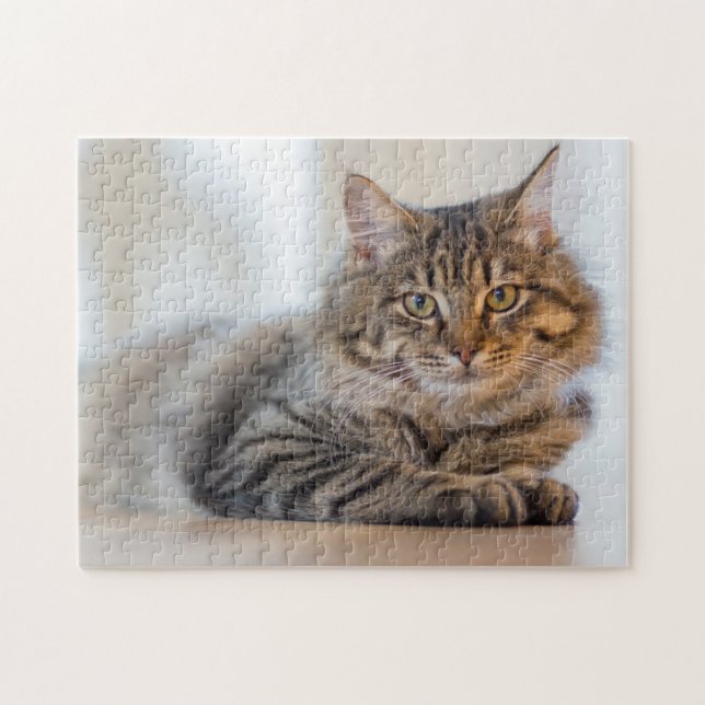Puzzle Gorgeous Cat Staring At You Jigsaw (Horizontal)